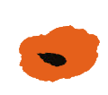orange.png